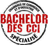 Logo Bachelor des CCI spécialisé